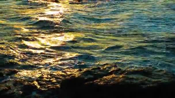 L'acqua del mare — Video Stock