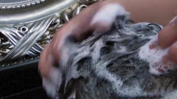 Spălarea părului în frizer — Videoclip de stoc