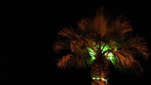 Fuochi d'artificio celebrazione scintille colorate — Video Stock