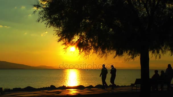 Silhouet van de mensen in de buurt van de kust in de zonsondergang — Stockvideo