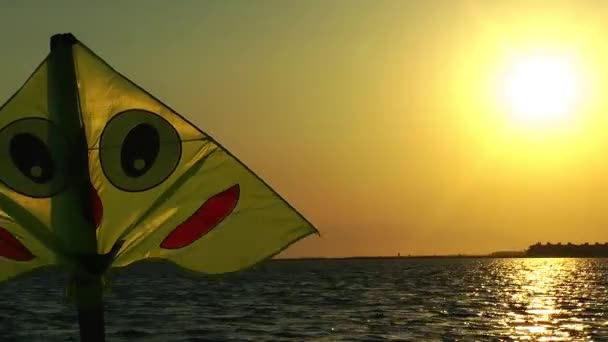 Kite speelgoed In de zonsondergang — Stockvideo