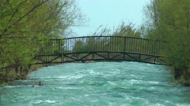 Köprü nehir ve yeşil doğa