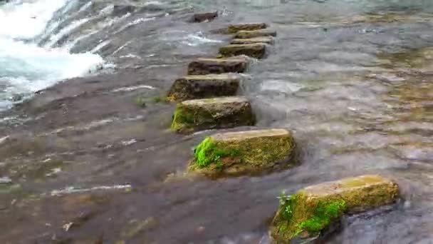 Escalones Piedra Cascada — Vídeos de Stock