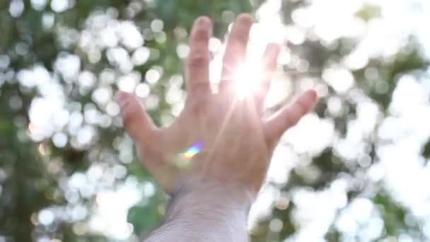 サンシャイン空と手 — ストック動画