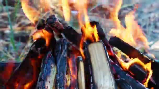 Odun Kömür Ateşi Yanık — Stok video