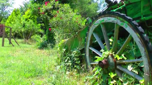 Pferdewagen Der Natur — Stockvideo