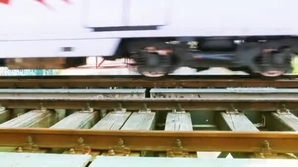 Залізничні Переїзди Залізничного Транспорту — стокове відео