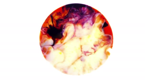 Art Ink Paint Explode Diffusion Sphere — Stock Video