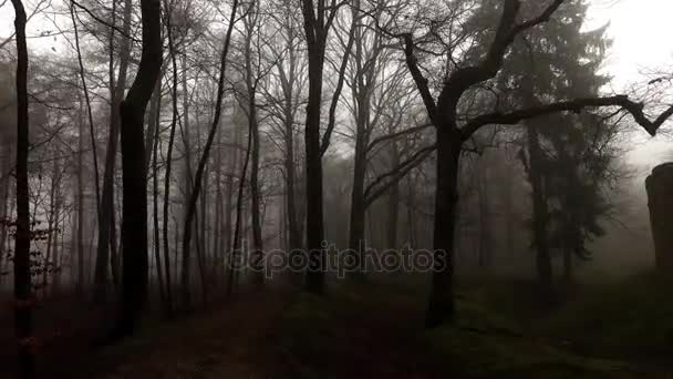 Velhas Muralhas Castelo Natureza Nebulosa Nebulosa — Vídeo de Stock