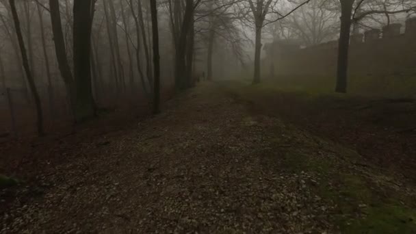 Vecchie Mura Del Castello Nebbia Nebbiosa Natura — Video Stock