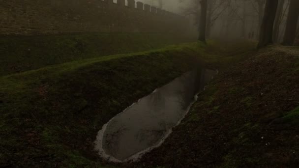 Oude Kasteelmuren Mistige Foggy Natuur — Stockvideo