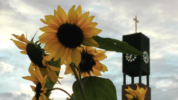 Iglesia Cristianismo Religión Edificio — Vídeo de stock