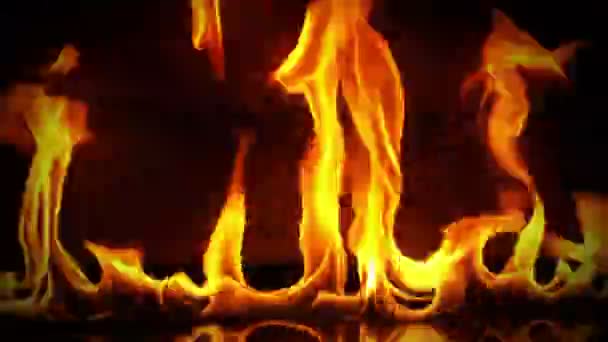 Πυρκαγιά Καίει Και Ξύλινο Υπόβαθρο — Αρχείο Βίντεο