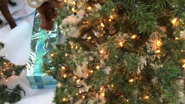 Árvore Natal Celebração — Vídeo de Stock