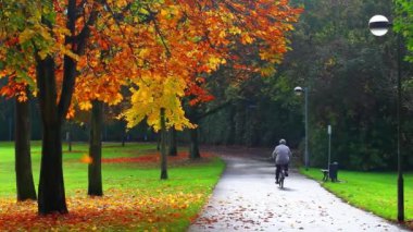Güneşli bir günde yeşil park