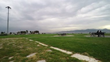 Güneşli bir günde yeşil park