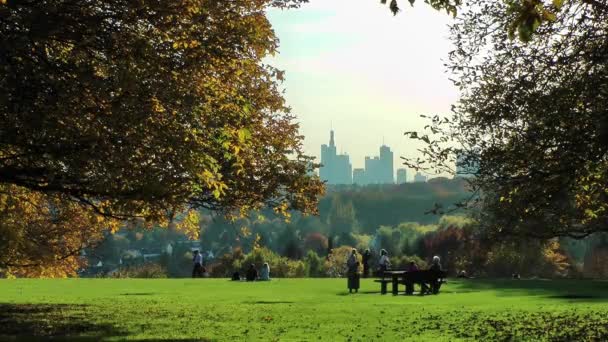 Güneşli Bir Günde Yeşil Park — Stok video