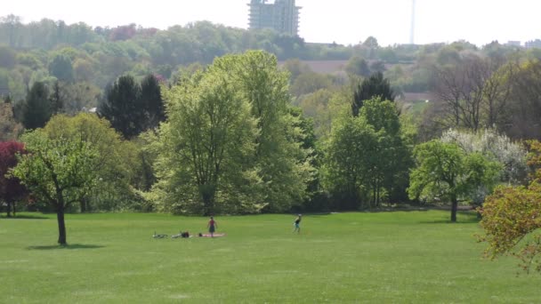 Parque Verde Día Soleado — Vídeos de Stock