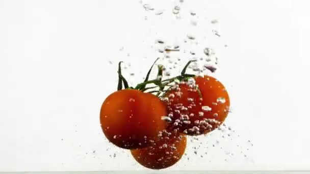 Tomate Vegetal Fresco Água — Vídeo de Stock