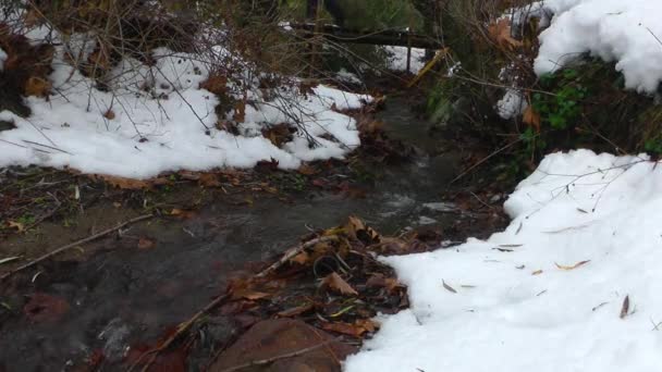 Lite Snöiga Vatten Creek — Stockvideo