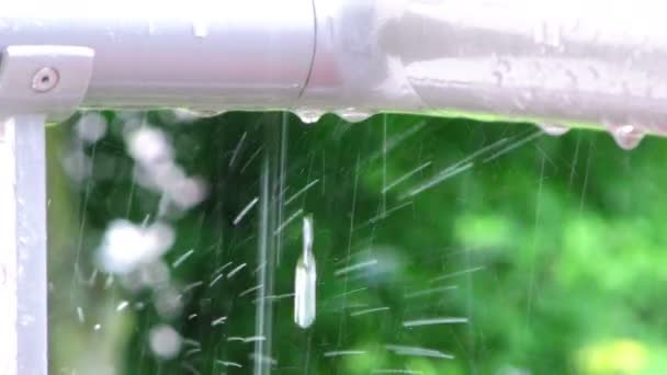 Die Regentropfen Auf Dem Rohr — Stockvideo