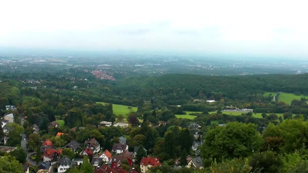 Paysage ville en forêt 