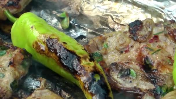 Carne Barbacoa Fuego Carbón — Vídeo de stock