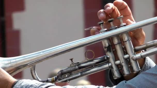 Playing Trumpet Outdoor Concept — Stock Video