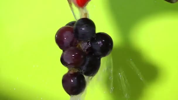 Mencuci Buah Anggur Hitam — Stok Video