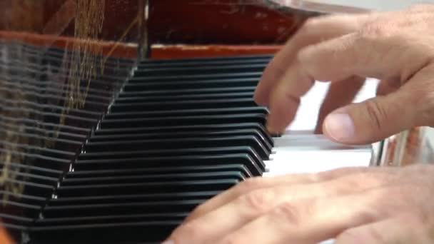 Pianist Spelar Piano — Stockvideo