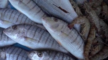 Balık stok buz balıkların