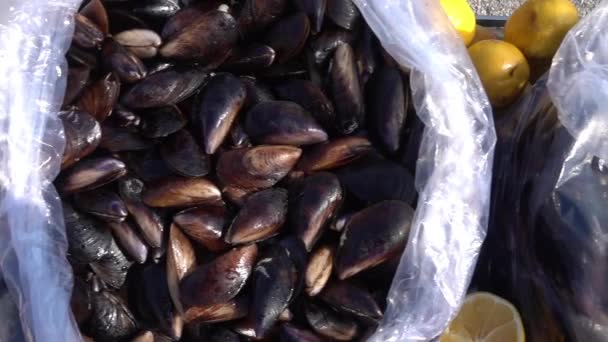 贻贝与大米传统地中海美食 — 图库视频影像