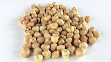 Fındık makro görünümü