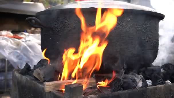 Cozinhar Alimentos Caldeira Com Fogo Madeira — Vídeo de Stock