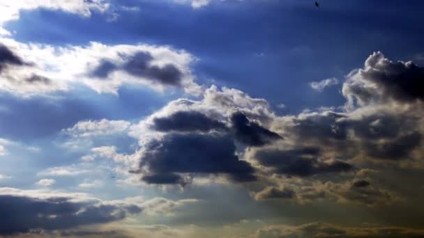 Nubes Oscuras Brillantes Time Lapse — Vídeo de stock