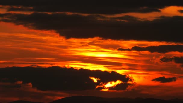 日没と恐ろしい雲とカモメ — ストック動画