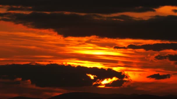 Pôr Sol Nuvens Assustadoras Gaivotas — Vídeo de Stock