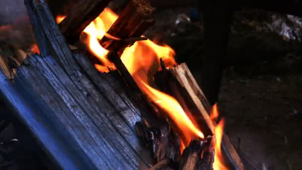 Houten Vuur Branden Voor Barbecue Voorbereiding — Stockvideo