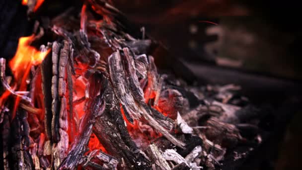 Houten Vuur Branden Voor Barbecue Voorbereiding — Stockvideo