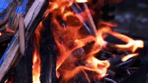 Incendio Legno Che Brucia Preparazione Del Barbecue — Video Stock