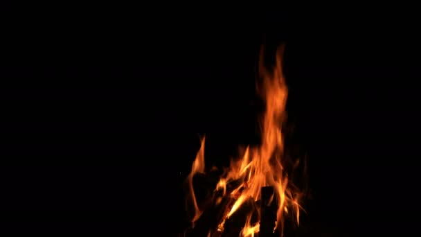 Wooden Campfire Burning Flames — Stock Video