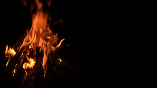 木製のキャンプファイヤー燃焼炎 — ストック動画