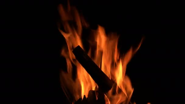 木製のキャンプファイヤー燃焼炎 — ストック動画