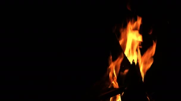 Wooden Campfire Burning Flames — Stock Video