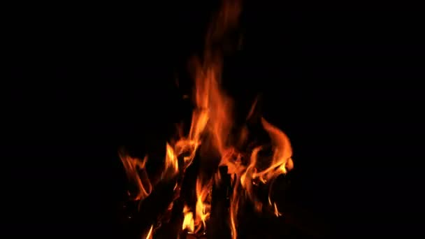 Drewniane Ognisko Płonące Płomienie — Wideo stockowe