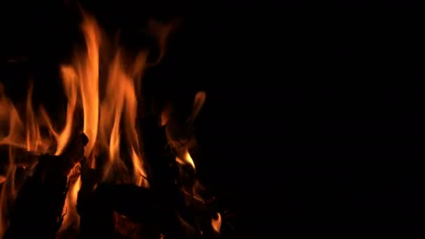 Houten Kampvuur Brandende Vlammen — Stockvideo