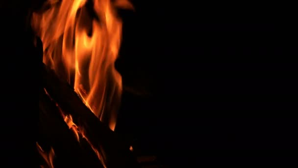 Foc Tabără Din Lemn Flăcări Foc — Videoclip de stoc