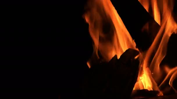 Lagerfeuer Aus Holz Lodert — Stockvideo