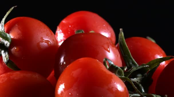 有机蔬菜 新鲜番茄及水滴 — 图库视频影像