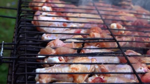 石炭火災のおいしい鶏のバーベキュー — ストック動画